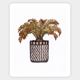 Houseplant Palm in Basket illustration Sticker